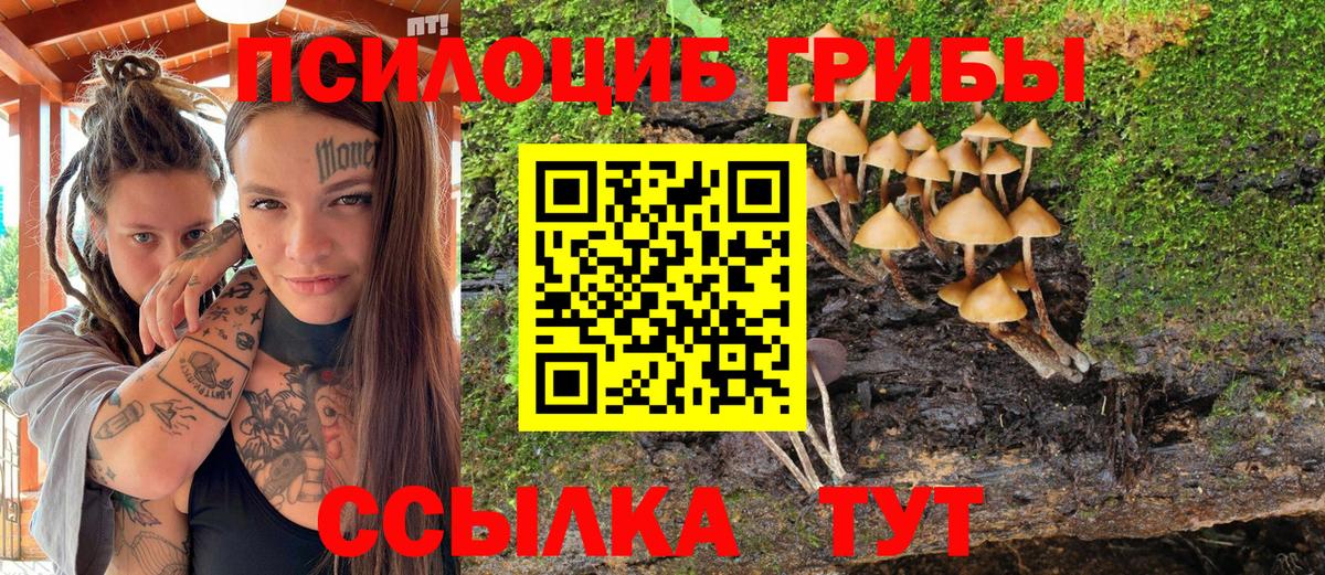 Новосибирск  Галлюциногенные грибы прущие грибы  Галлюциногенные грибы мухоморы  Вход с VPN 
