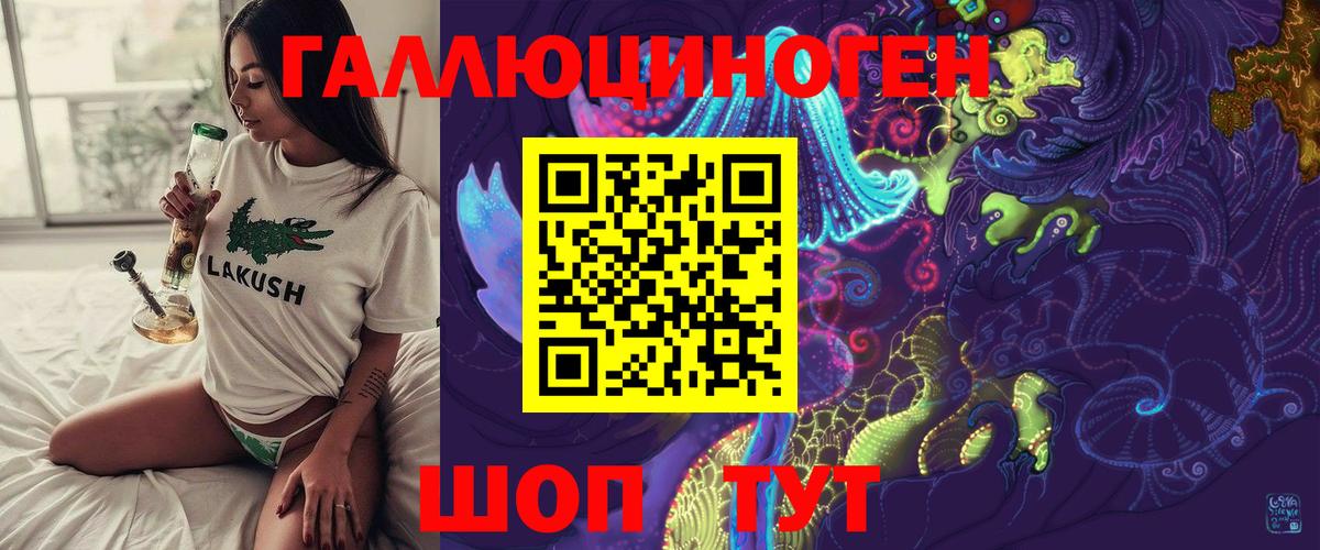 Псилоцибиновые грибы Psilocybine cubensis Новосибирск